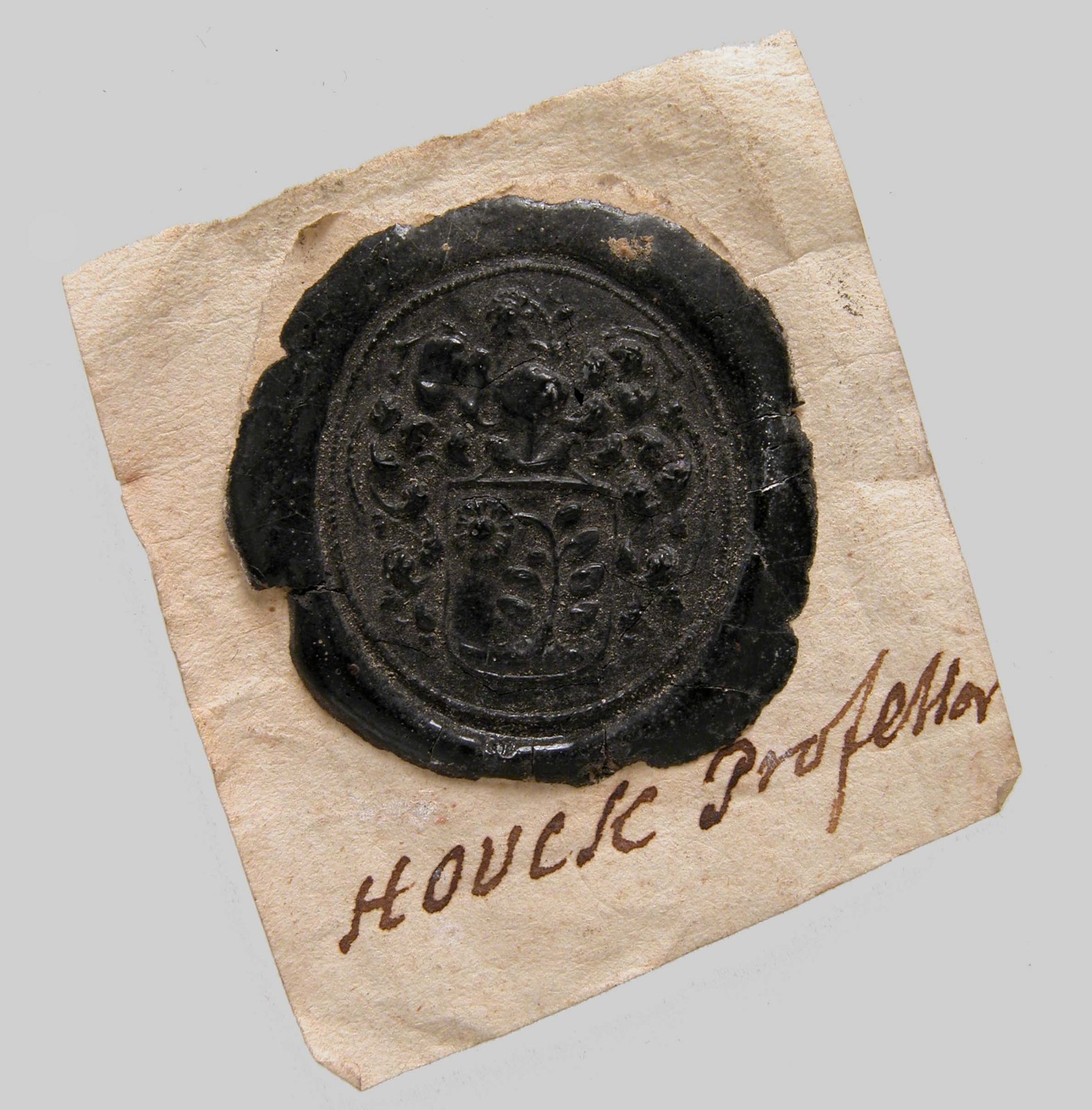 A dark circular seal impression on a pale rectangular mount, with a central shield bearing a branching motif, helmet and surrounding ornament; cracks interrupt its edge.